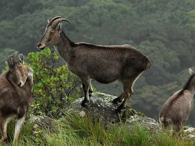 Foto del tour