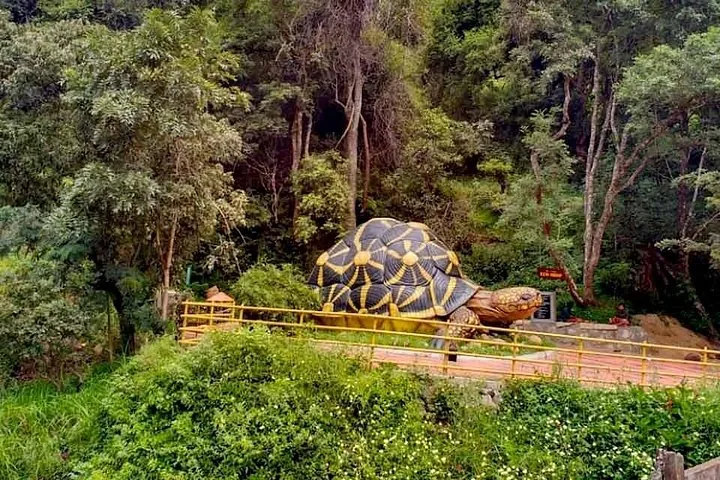 Gran estatua de tortuga en una zona boscosa verde y frondosa con una valla amarilla.