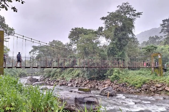 Personas caminando por un puente colgante sobre un río rocoso rodeado de un bosque exuberante
