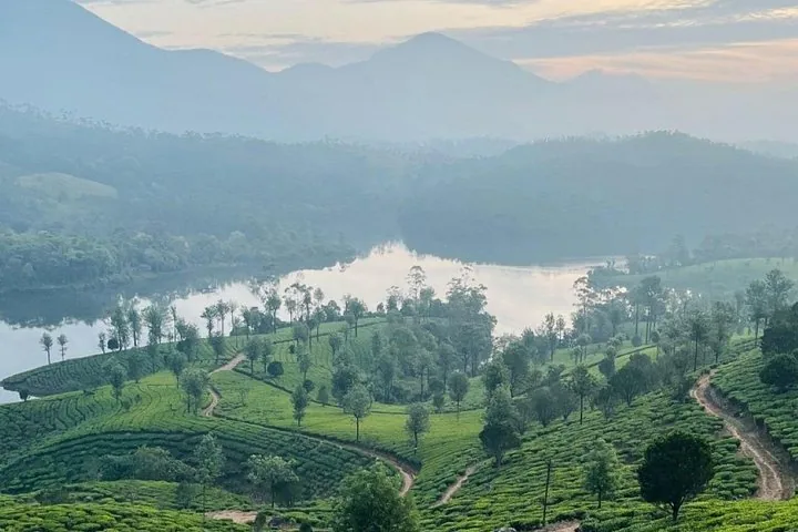 Vista panorámica de un lago tranquilo rodeado de colinas brumosas y plantaciones verdes.