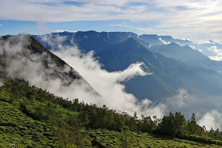 Vistas impresionantes de montañas y valles cubiertos de niebla sobre exuberantes plantaciones de té.